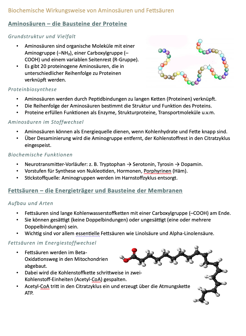 Biochemische Wirkungsweise von Aminosäuren und Fettsäuren
